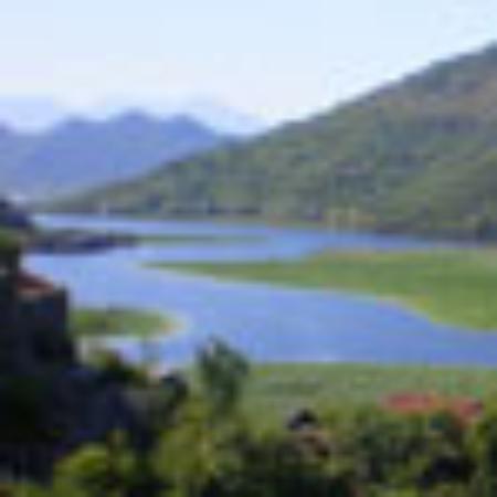 Shanghai Palace Seafood Restaurant